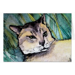 Avyssinian Cat Card by Molly Harrison