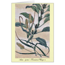Awa - goma / Kanemori Ukiyo-e. Greeting Cards