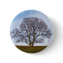 awaiting seasons button
