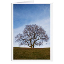 awaiting seasons cards by blacqbook awaiting seasons cards