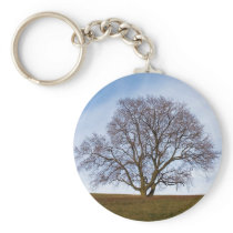 awaiting seasons keychains