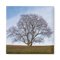 awaiting seasons refrigerator magnet