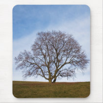 awaiting seasons mouse pad