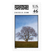 awaiting seasons postage stamp