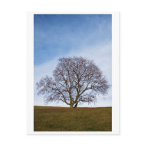 awaiting seasons postcard