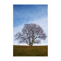 awaiting seasons posters by blacqbook awaiting seasons posters