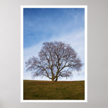 awaiting seasons posters