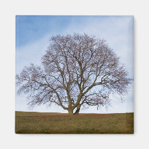 awaiting seasons refrigerator magnet