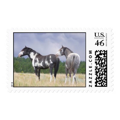 AwaitingtheStorm Stamp by brookhouse