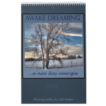 Awake Dreaming - 2012 Calendar by Jill Foster