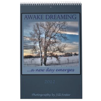 Awake Dreaming - 2012 Calendar by Jill Foster calendar