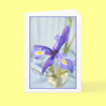Awaken Iris Photo Greeting Card cards