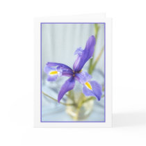 Awaken Iris Photo Greeting Card by donnabellas Awaken Iris Photo Greeting Card