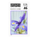 Awaken Iris Photo Stamp