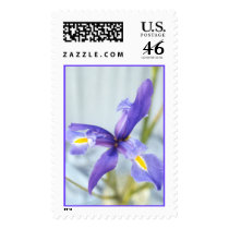 Awaken Iris Photo Stamp by donnabellas Awaken Iris Photo Stamp