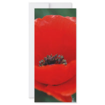 Awaken To Beauty rack cards