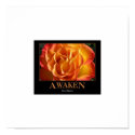 Awaken Your Beauty posters