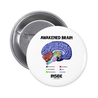 Awakened Brain Inside (Brain Anatomy) Buttons