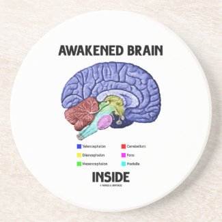 Awakened Brain Inside (Brain Anatomy) Drink Coasters