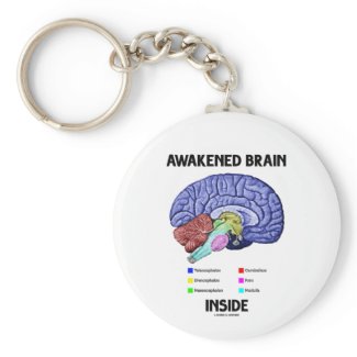 Awakened Brain Inside (Brain Anatomy) Key Chains