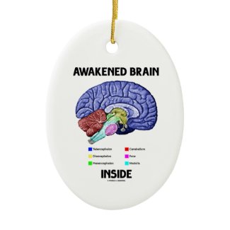 Awakened Brain Inside (Brain Anatomy) Christmas Ornament