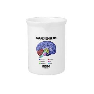 Awakened Brain Inside (Brain Anatomy) Beverage Pitcher
