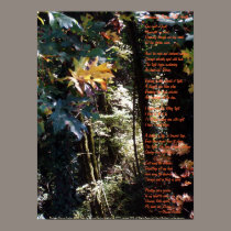 Awakening Divine Self Worth posters