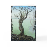 Awakening Spring Fairy Dryad Fantasy Greeting Card
