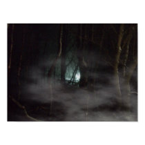 Award Winner Hottest Photo! Lights in the Night posters