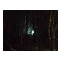 Award Winner Hottest Photo! Lights in the Night posters