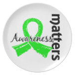 Awareness Matters 7 Lyme Disease Party Plate