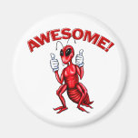 Awesome Ant Magnets