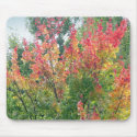 Awesome Autumn mousepad