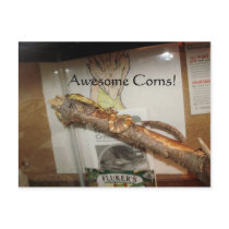 Awesome Corns Snakes! postcards by Nakila93 Awesome Corns Snakes! postcards