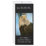 Awesome Dangerous Bald Eagle Watch In Deeply Customized Rack Card