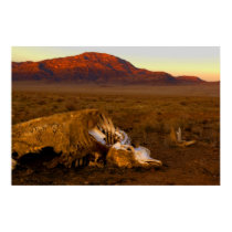Awesome Dead Cow at Sunset Poster posters by WanderLinArts Awesome Dead Cow at Sunset Poster posters
