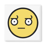 Awesome Disapproval Face magnets