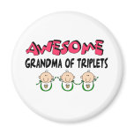 AWESOME GRANDMA of TRIPLETS Magnet