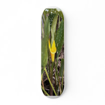 Awesome Lilly skateboards