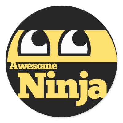 Awesome Ninja Pictures