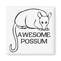 Awesome Possum Magnets