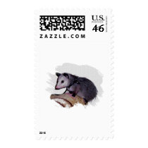 Awesome Possum Opossum Postage