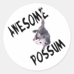 Awesome Possum Opossum Round Stickers