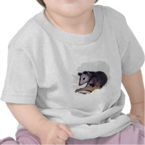 Awesome Possum Opossum t-shirts