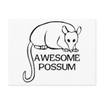 Awesome Possum Postcards
