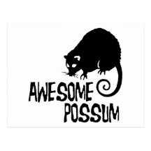 Awesome Possum Postcards