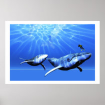 animal, background, beautiful, blue, brave, challenge, clear, mammal, concept, conceptual, escape, exploration, flee, flying, free, freedom, glass, isolated, liquid, lonely, motion, move, splash, splashing, spring, swim, tropical, underwater, water, whale, ocean, sea, creature, humpback, sperm, cow, calf, coasts, Plakat med brugerdefineret grafisk design