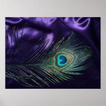Awesome Purple Peacock Feather Print