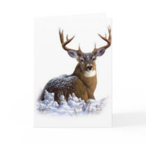 awesome rack cards