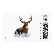 awesome rack postage